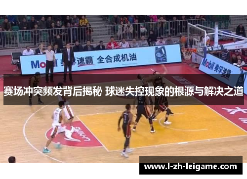 赛场冲突频发背后揭秘 球迷失控现象的根源与解决之道