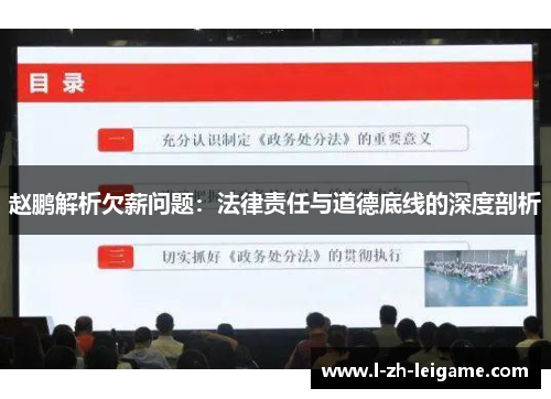 赵鹏解析欠薪问题：法律责任与道德底线的深度剖析